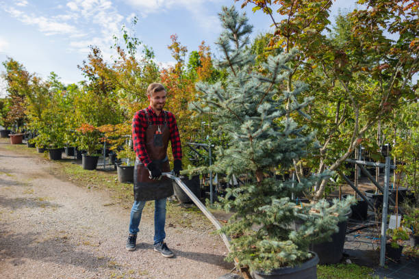 Best Commercial Tree Services  in Sherrill, NY